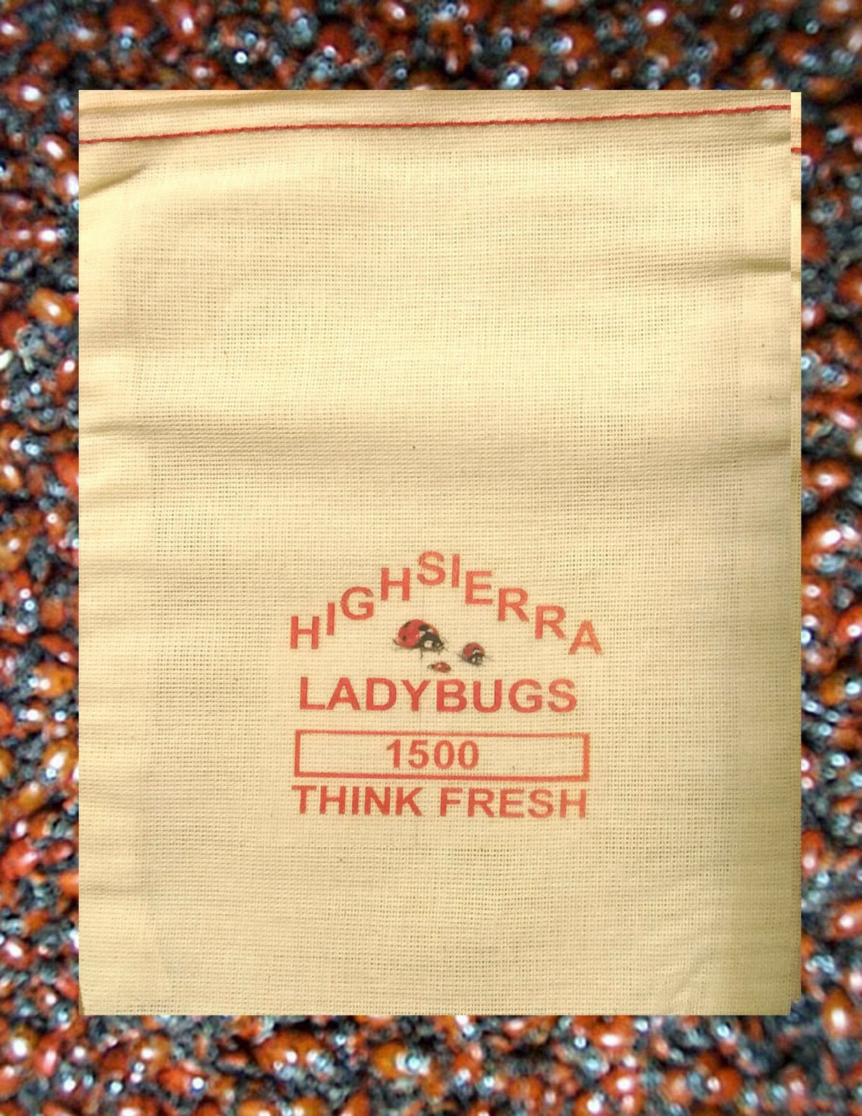 1500 Premium Fresh Live Ladybugs  Think Fresh!!  In Stock Now  Fast Shipping.